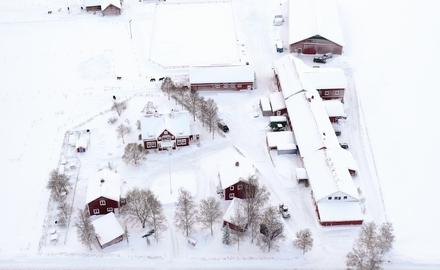 Dille Gård Naturbruksgymnasium