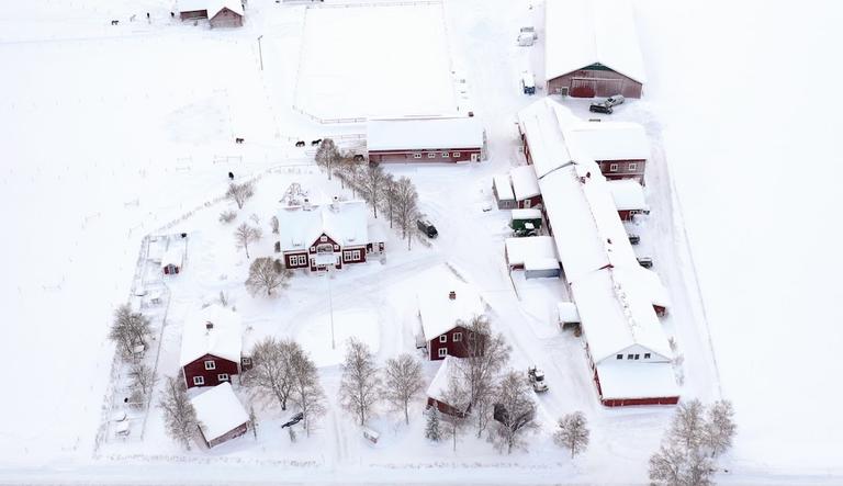 Dille Gård Naturbruksgymnasium