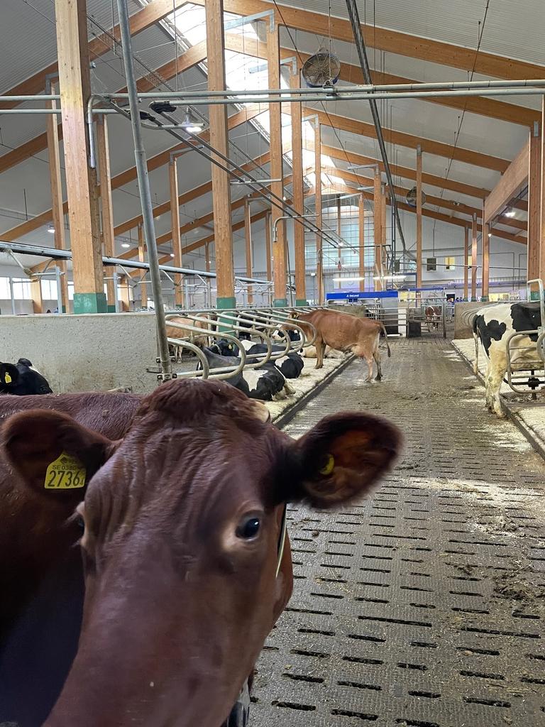 Vreta Utbildningscentrum i Vreta Kloster