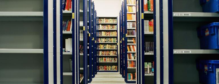 Arkivarie- och informationsförvaltningsprogrammet - Journalistik
