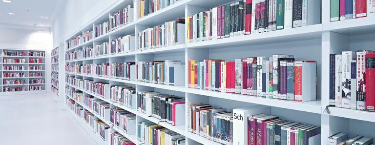 Biblioteks- och informationsvetenskap