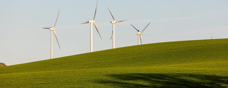 Energiomställning - Hållbarhet och ledarskap