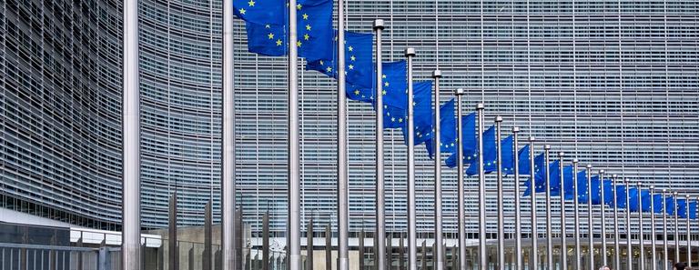 Europaprogrammet - Statsvetenskap