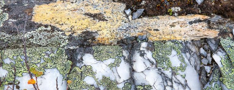 Geologi