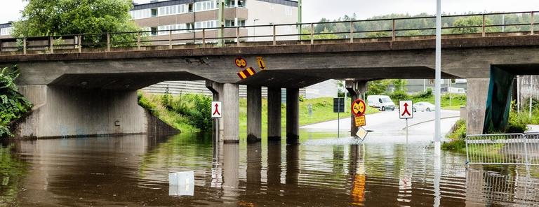 Hållbar utveckling - Samhällsförändring och klimatomställning