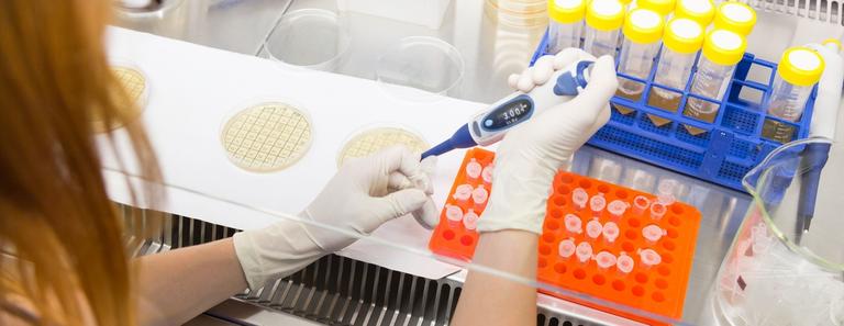 Kemi/Molekylärbiologi