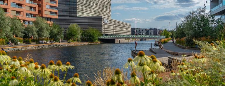 Landskapsarkitektprogrammet