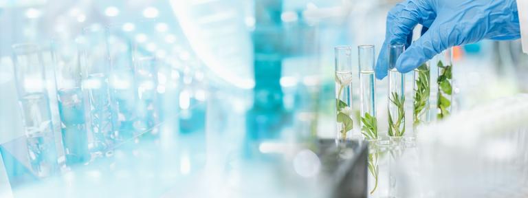 Life Science