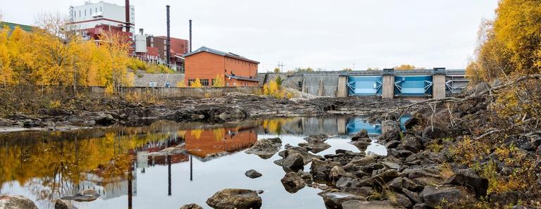 Samhällsvetenskapligt miljövetarprogram