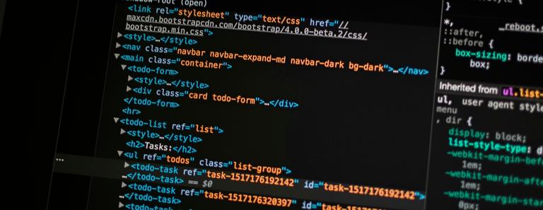 Software Development